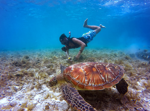 snorkeling
